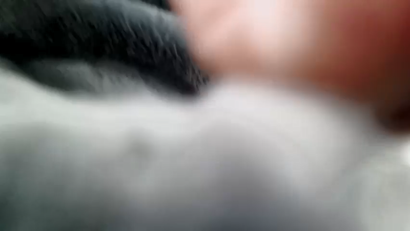 【2021-12-23 23点场】正经人令北：【令北】我是配神驹小马的神！！！