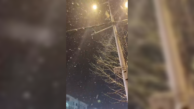 辽阳的雪