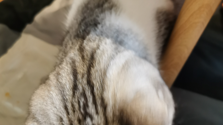 北戴河