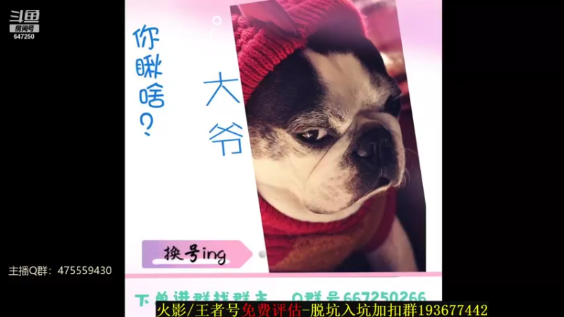 【2021-12-25 17点场】小马锅马杰：马锅：18点火影圣诞大富翁。
