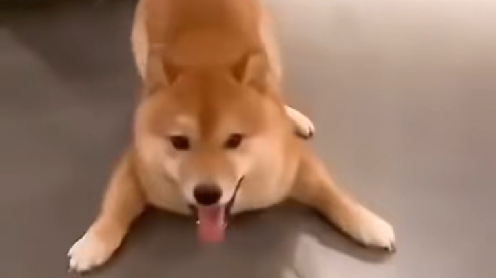 兄弟们开饭啦！