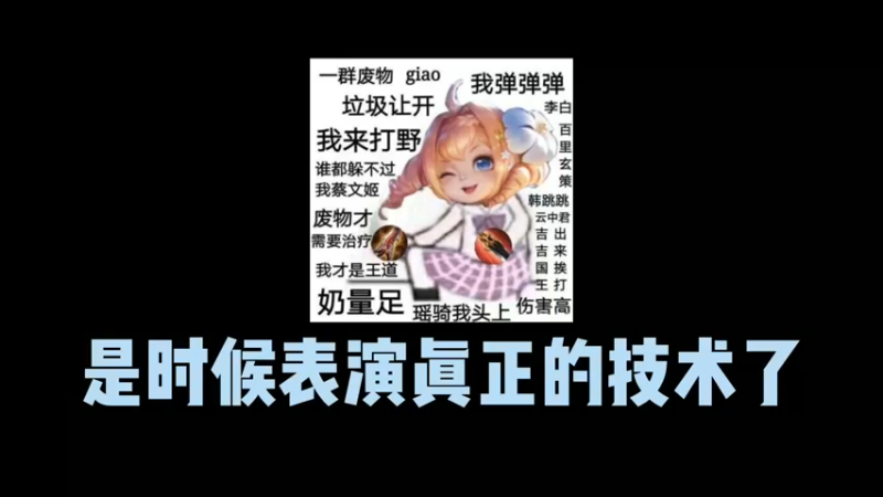 你见过纯AP法强流蔡文姬嘛？