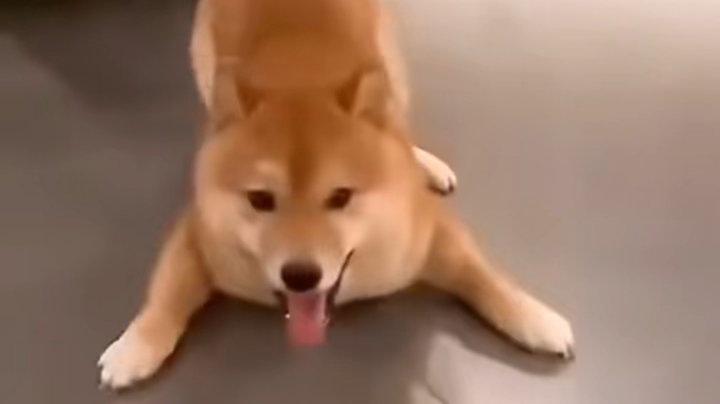 兄弟们开饭啦！