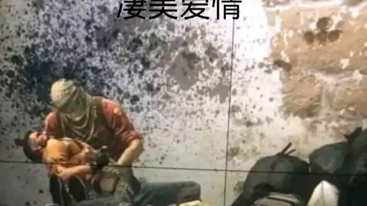 菜狗直播