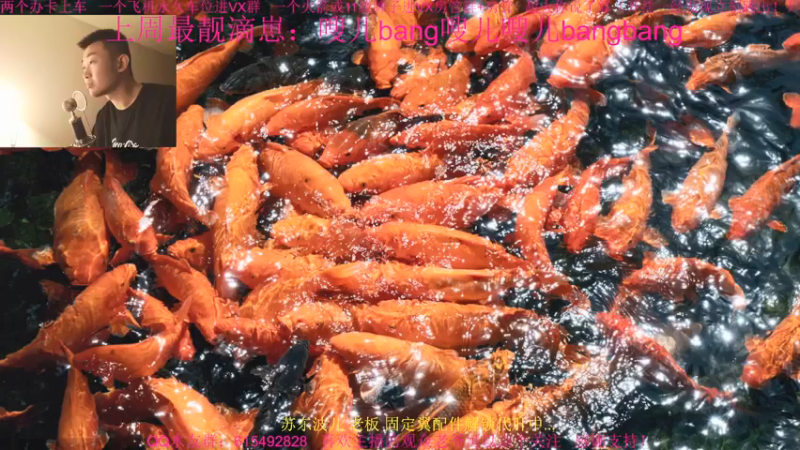 【2021-12-24 16点场】主播世贤：世贤正能量~