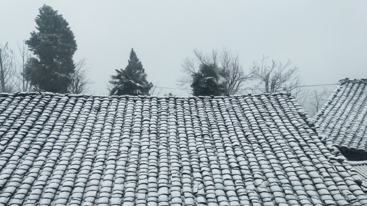 下雪啦！下得很大很大！