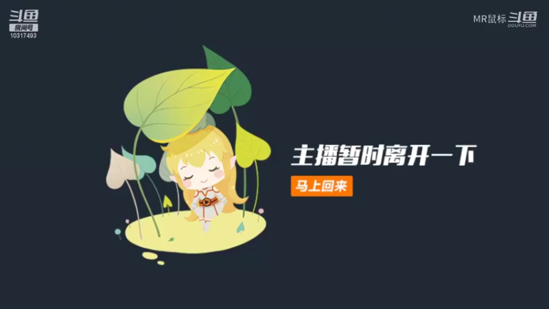 菜鸟生涯崛起12.25