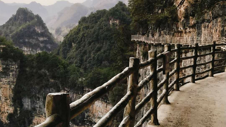 玫瑰桑德斯土豪阵容上当家