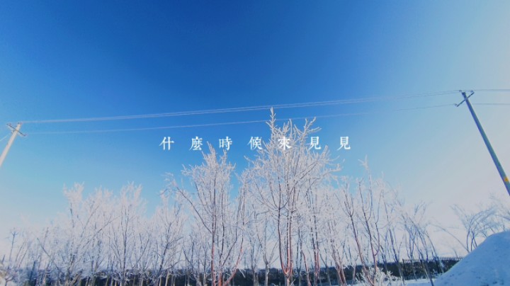 治愈的一天