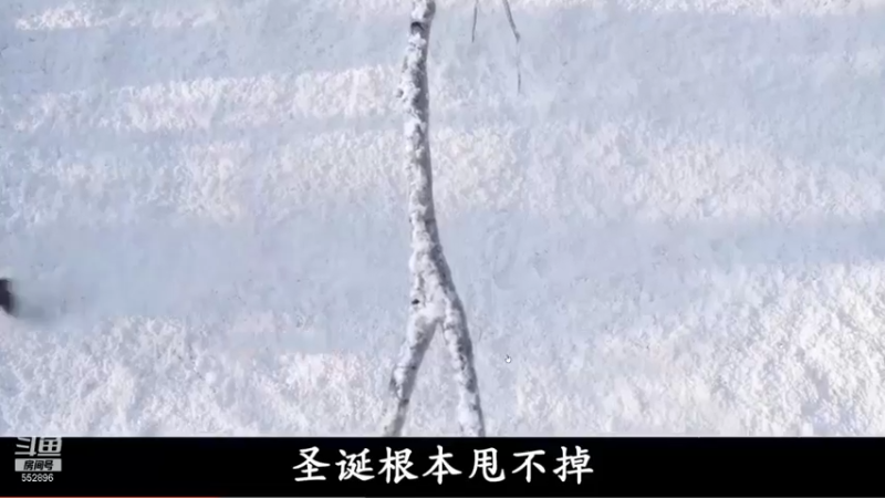 【2021-12-26 02点场】芒果Ace：果砸--非对称恐怖！