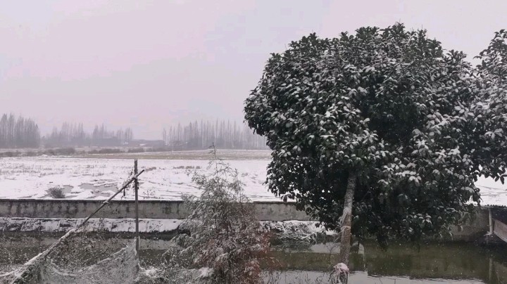 偶尔高冷雪OvO发布了一个斗鱼视频2021-12-26