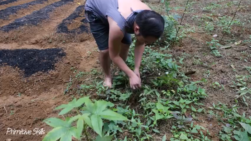 《隐居生活13开始新的征程13【户外全能10项，开局一石头，最快铁器时代】