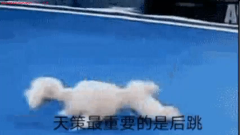 【2021-12-27 17点场】落叶听松：头有点晕，随便玩一哈吃鸡！