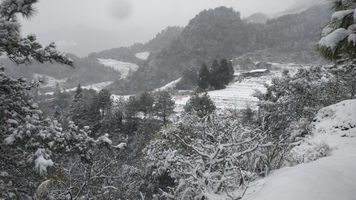 雪景不错