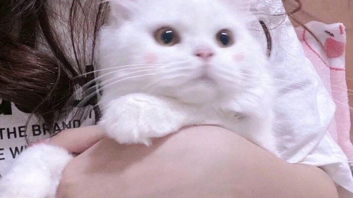 冲冲冲