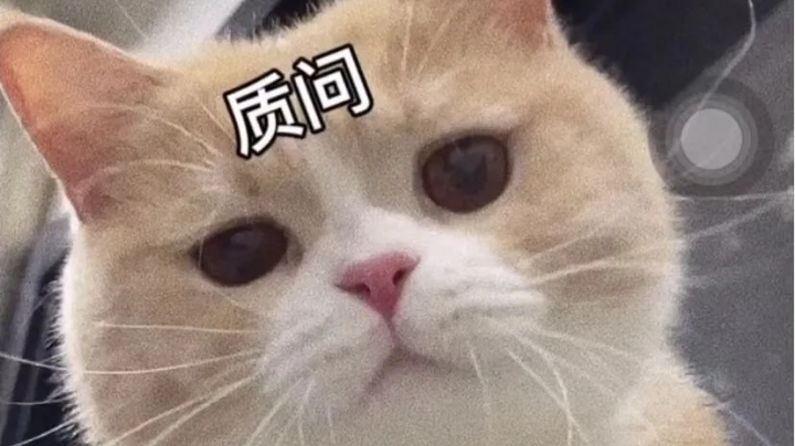 我的我的