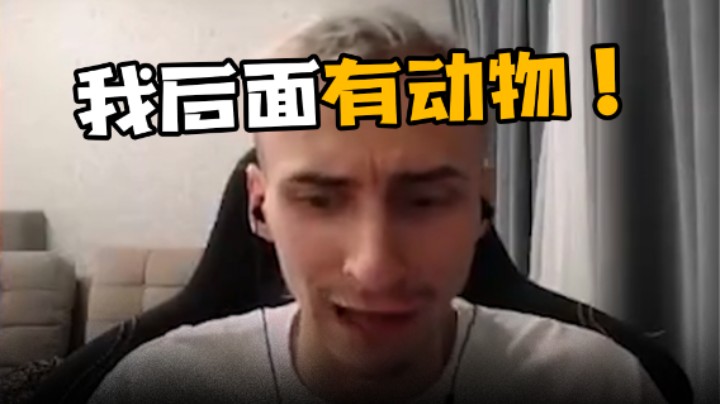 我后面有动物不列