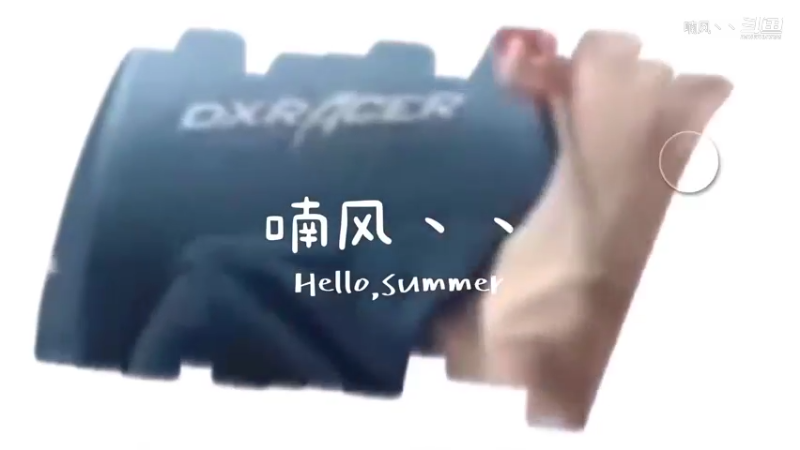 大龙猫惨遭宝哥暴打