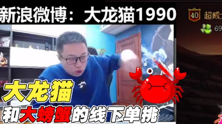 【大龙猫】大龙猫和大螃蟹的线下单挑！