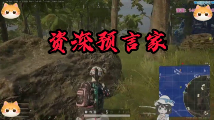资深预言家