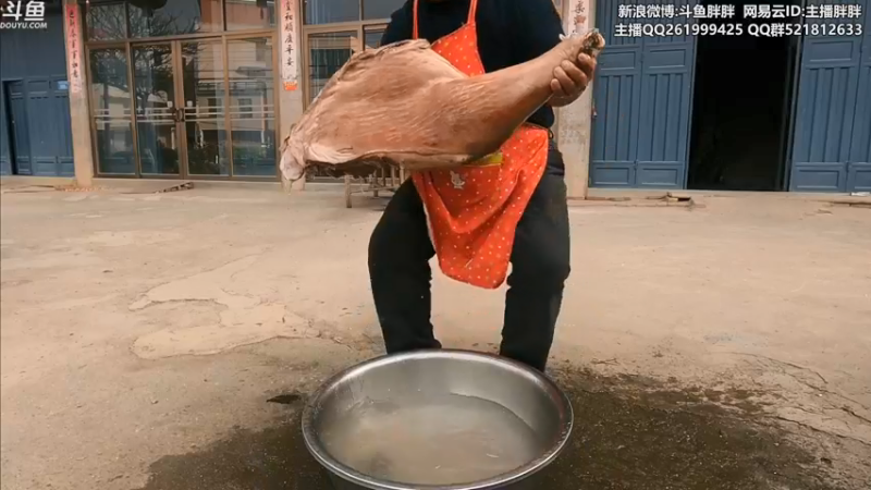 【2021-12-27 05点场】胖胖灬：胖胖OB:左手韩服第一\乌兹\水\bin