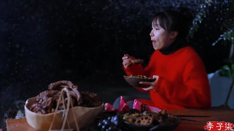 【美食】李子柒liziqi的精彩时刻 20211227 09点场
