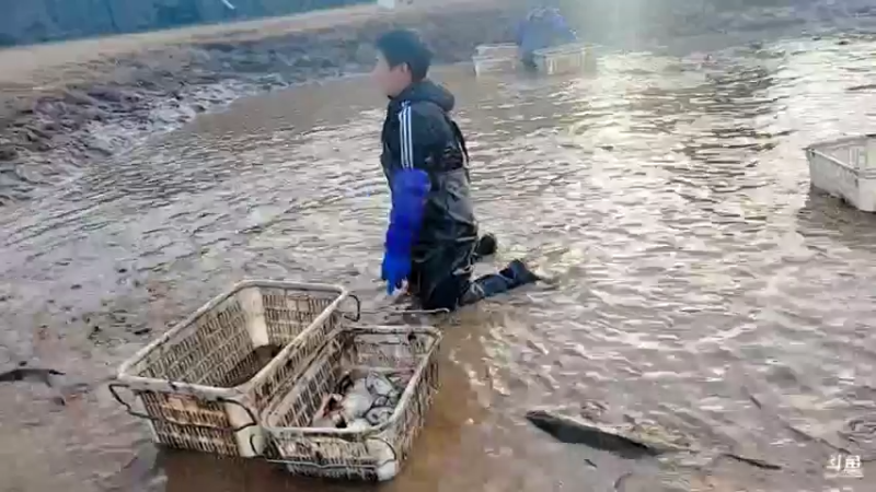 【2021-12-27 15点场】洪湖小肖：今天晚点开播2点前