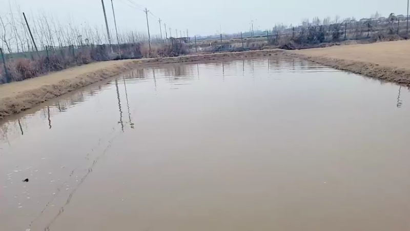 【2021-12-27 13点场】洪湖小肖：今天晚点开播2点前