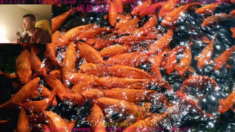 【2021-12-28 16点场】主播世贤：世贤正能量~