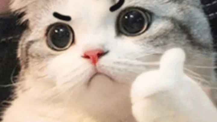 人机
