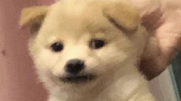 光速下播全过程