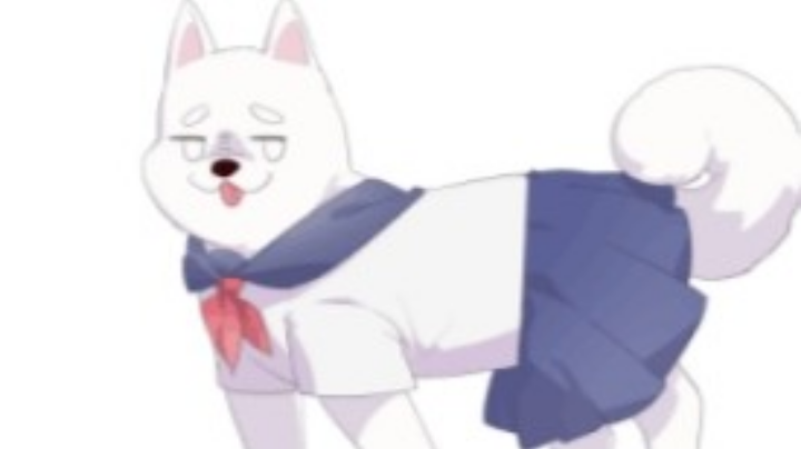 修勾直播回放