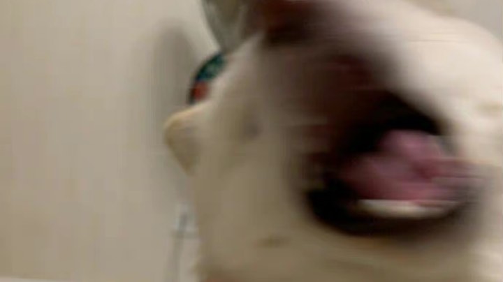 零