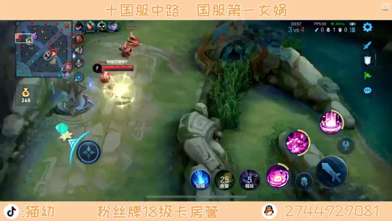 【2021-12-28 19点场】猫幼zzz：恨自己不够强唉
