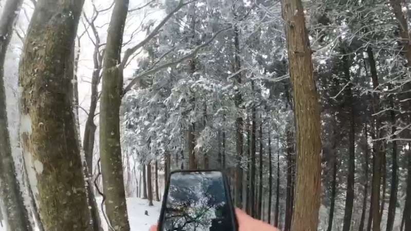 【2021-12-26 11点场】西贝2018：菜腿自驾京都绵向上爬山看雪景