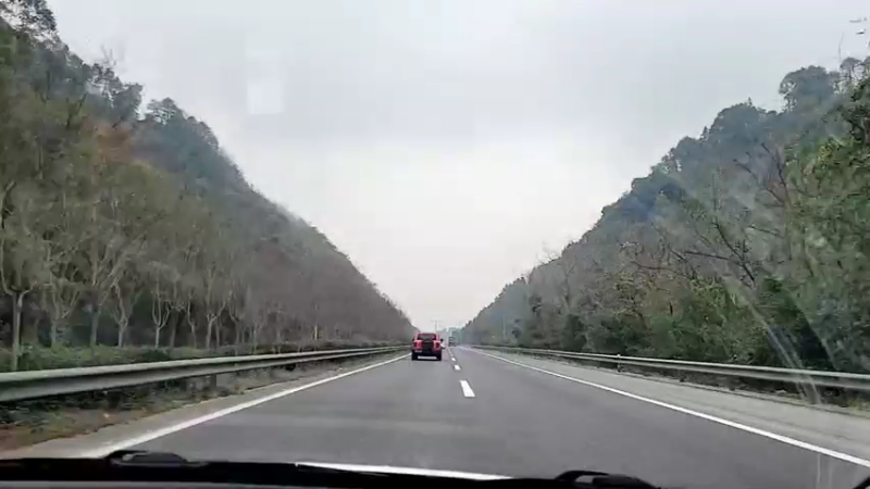 【2021-12-30 11点场】逐梦兄弟：带着珂珂去旅行