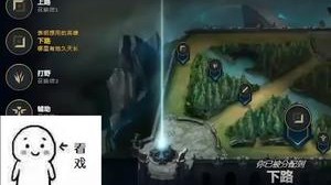 打钻2局菜怎么了，我是给其他的ad面子