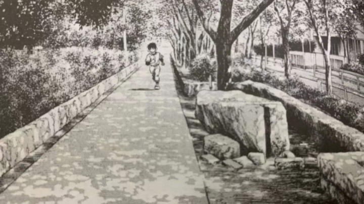 小光的街头篮球日记