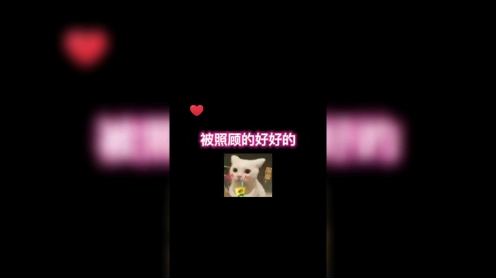 被照顾得好好的