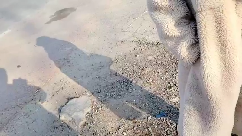 【2021-12-30 09点场】洪湖小肖：欢乐行第一天(嘉鱼)