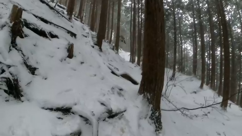 【2021-12-26 10点场】西贝2018：菜腿自驾京都绵向上爬山看雪景