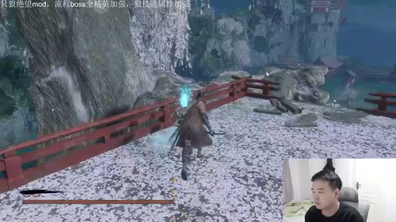 【2021-12-29 22点场】安神豆腐渣：只狼绝望mod，今天全是硬茬子。
