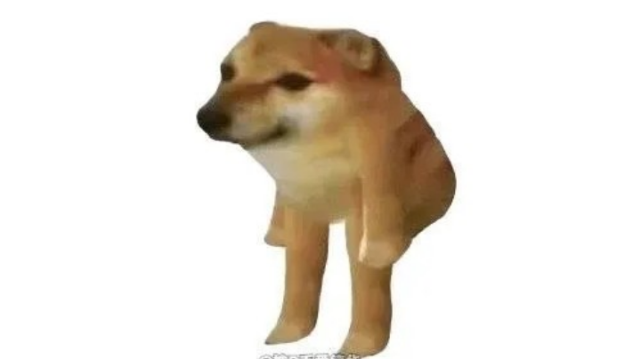 dkdjd