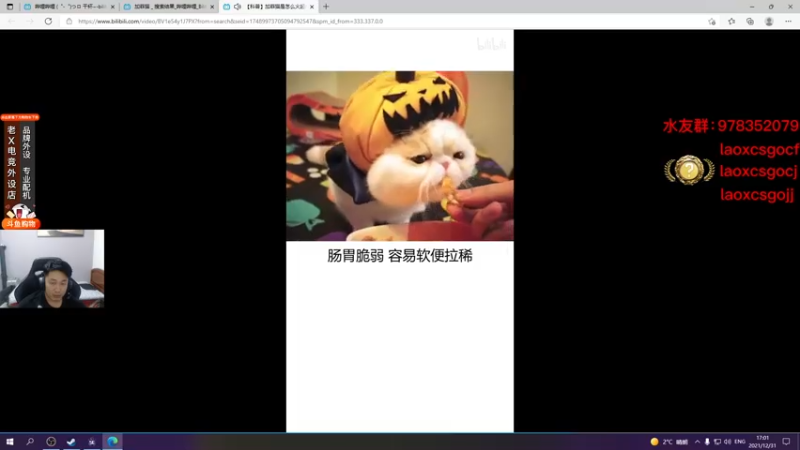 【2021-12-31 17点场】loveyou_qq：今天CSGO  跨年咯