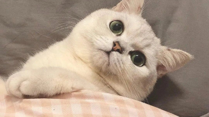 爱与被爱