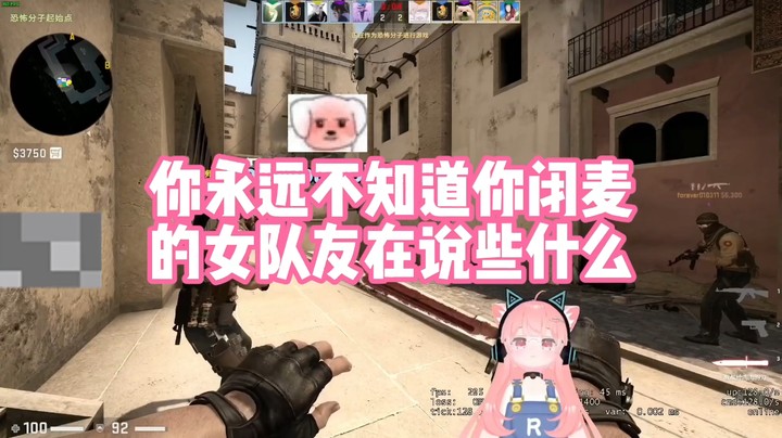 【肉肉】你永远也不知道你的女队员闭麦在说什么