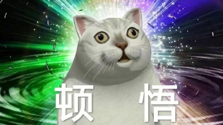 天晴了雨停了，牧狗突然又行了