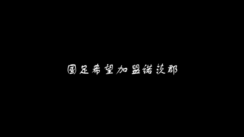 国足希望宣金松