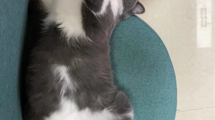 炸鱼