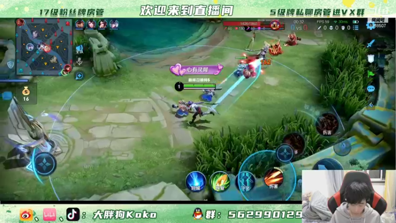 【2021-12-31 20点场】大胖狗koko：和大胖狗一起跨年咯